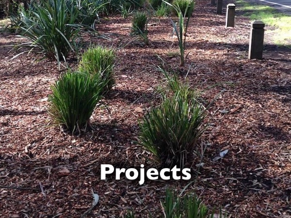 Wood for Visitor Info Centre – April&nbsp;2025