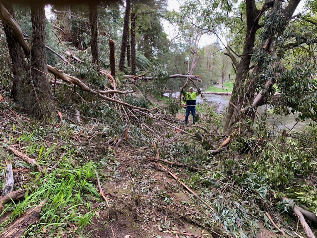 Track storm damage August&nbsp;2024