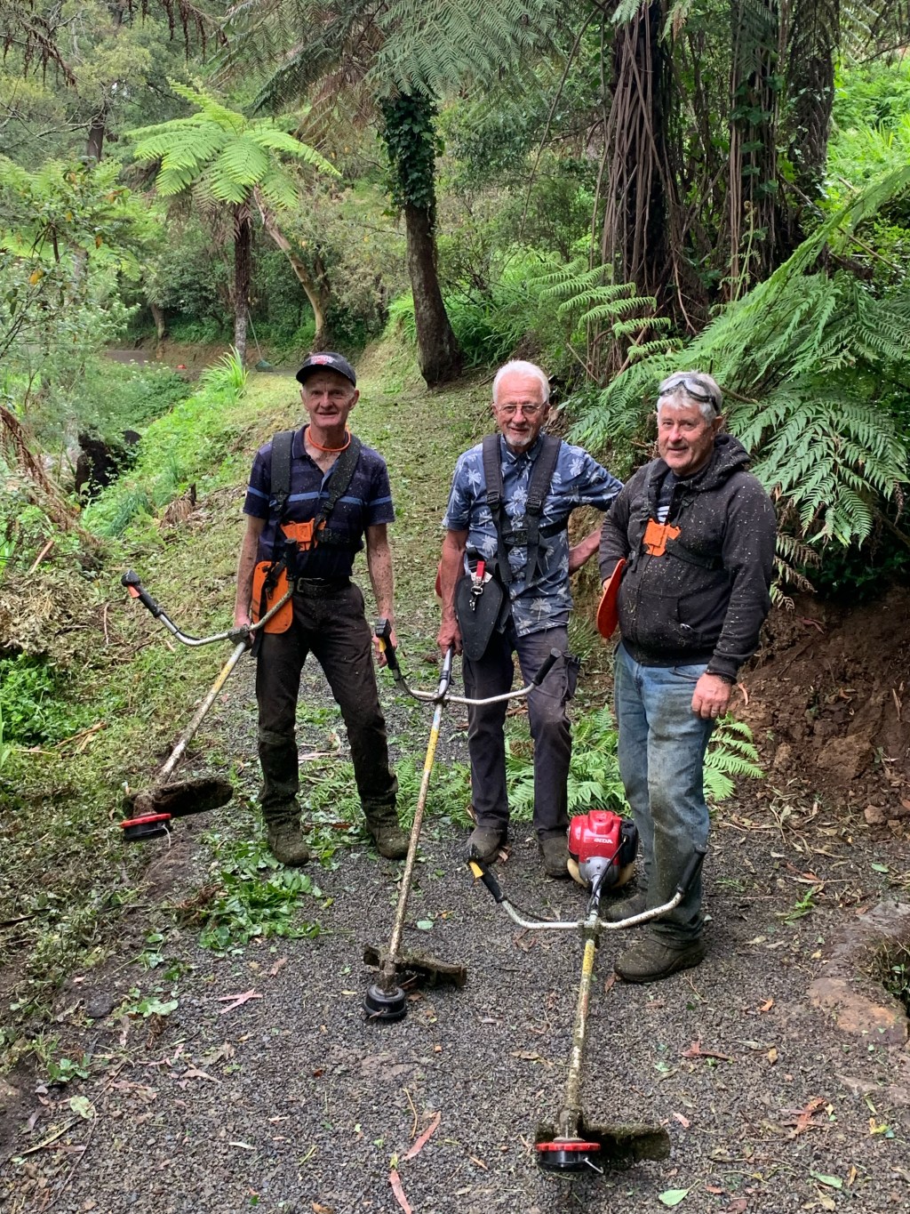 November track maintenance