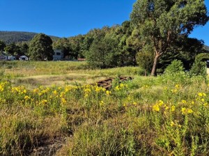 La La Turntable December 2024